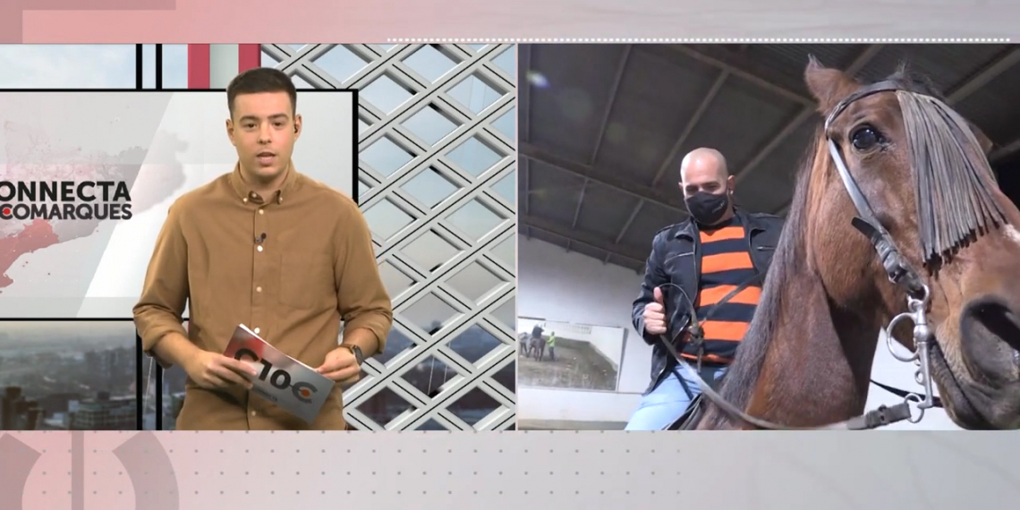 Equinoteràpia i treball en equip amb cavalls per a joves del Baix Ebre i Montsià