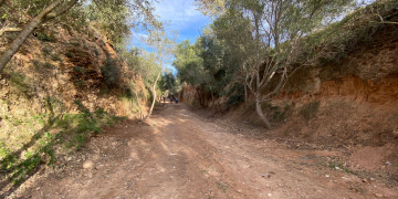 Amposta llueix un nou tram de la Via Verda de la Val de Zafán