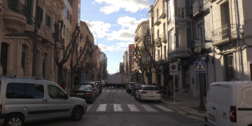 Tortosa Verda realitza una enquesta que avala conservar l’arbrat del carrer Cervantes