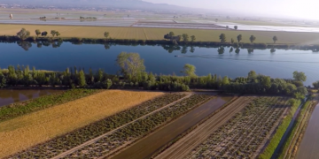 #IDECE: Projecció i promoció de les comarques de l’Ebre