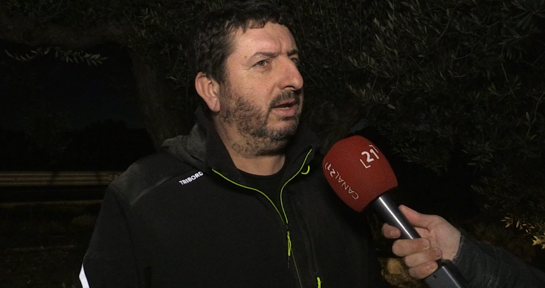 Els pagesos reclamen els ajuts del Filomena per unes oliveres que poc a poc es recuperen