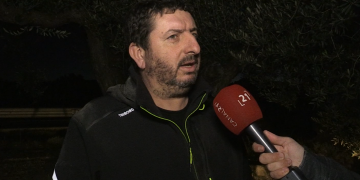 Els pagesos reclamen els ajuts del Filomena per unes oliveres que poc a poc es recuperen