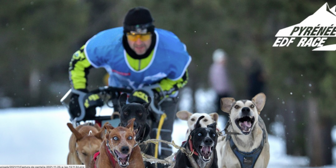 Kiko Vallespí no segueix competint en la Grande Odyssée per una ‘sanció injusta’