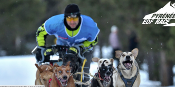 Kiko Vallespí no segueix competint en la Grande Odyssée per una ‘sanció injusta’