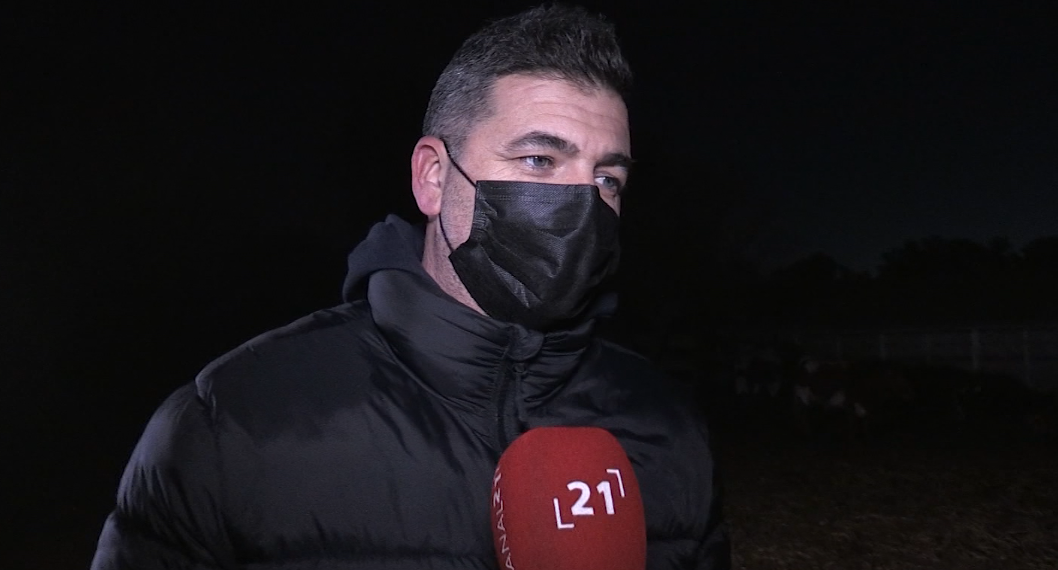 Les Penyes i Comissions Taurines de l’Ebre volen promoure les festes amb bous a les escoles