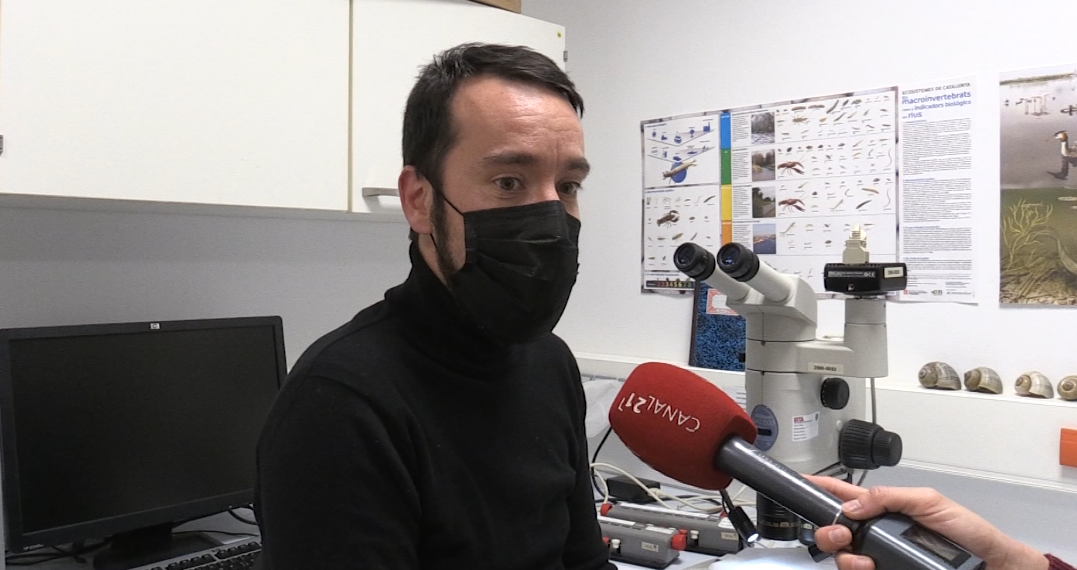 Un estudi de l’IRTA investiga el passat i l’evolució del Delta a través dels sediments