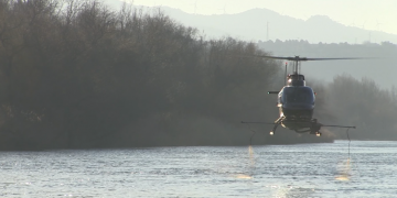 El COPATE inicia la tercera campanya contra la mosca negra a principis d’any
