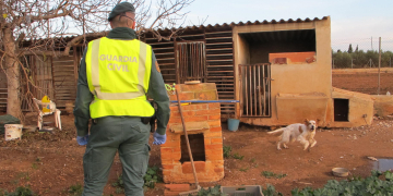 El Seprona investiga un veí de l’Aldea a qui havia requerit millorar les condicions de disset gossos de caça