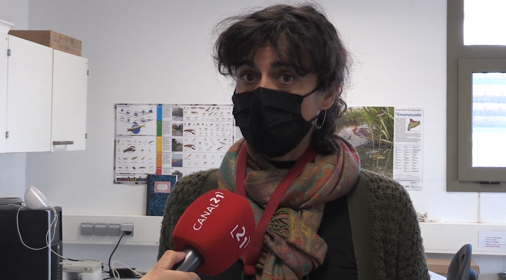 2.200 milions de microplàstics s’aboquen cada any al mar des del delta de l’Ebre