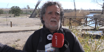 Màxim històric d’ocells aquàtics hivernals al Delta per la inundació d’arrossars