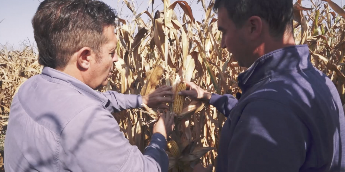 #20 El Pla d’Urgell