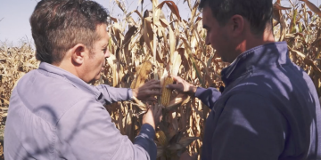 #20 El Pla d’Urgell