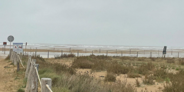 Infosa reivindica que l’aportació de sorres al Trabucador hauria evitat el nou trencament