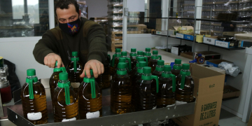 La DO Siurana augmenta les vendes d’oli d’oliva davant la por de la falta d’abastiment per la guerra a Ucraïna