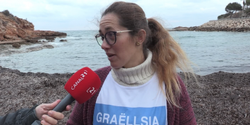 La posidònia crea catifes de fulles seques a les platges de l’Ametlla de Mar