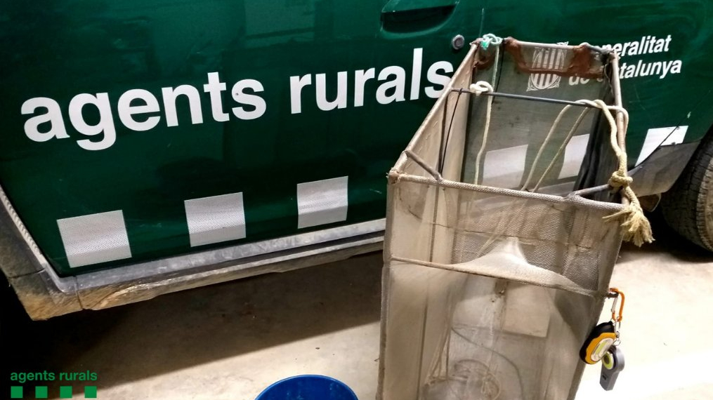 Denuncien un home per pescar angula de forma furtiva a Sant Jaume d’Enveja