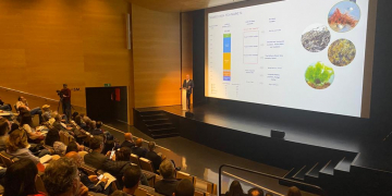 El delta de l’Ebre és l’escenari idoni per produïr algues marines al litoral català