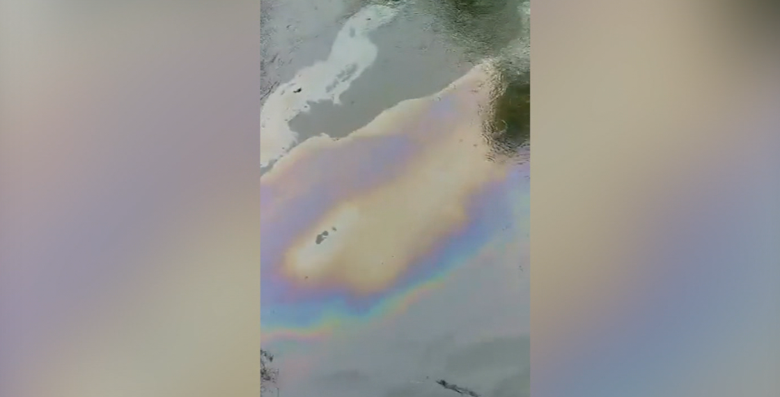 Una fuita de la central nuclear d’Ascó provoca una taca d’oli al riu Ebre