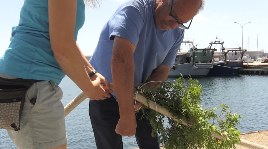 Calasèpia, un projecte per fomentar la proliferació de sèpies i calamars a l’Ametlla de Mar