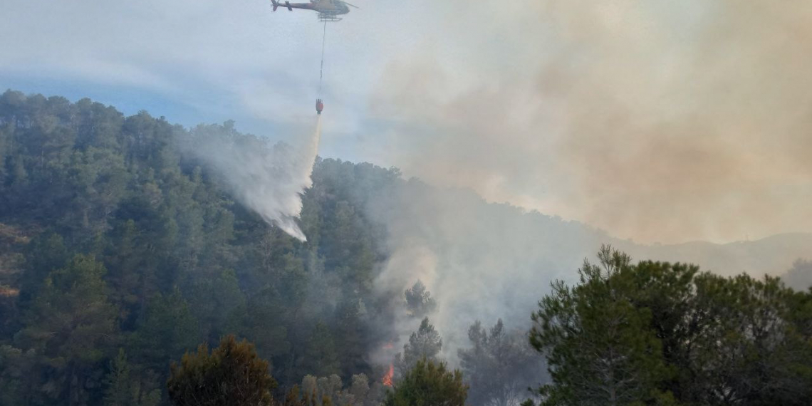 Setze dotacions treballen en un incendi forestal a Ascó