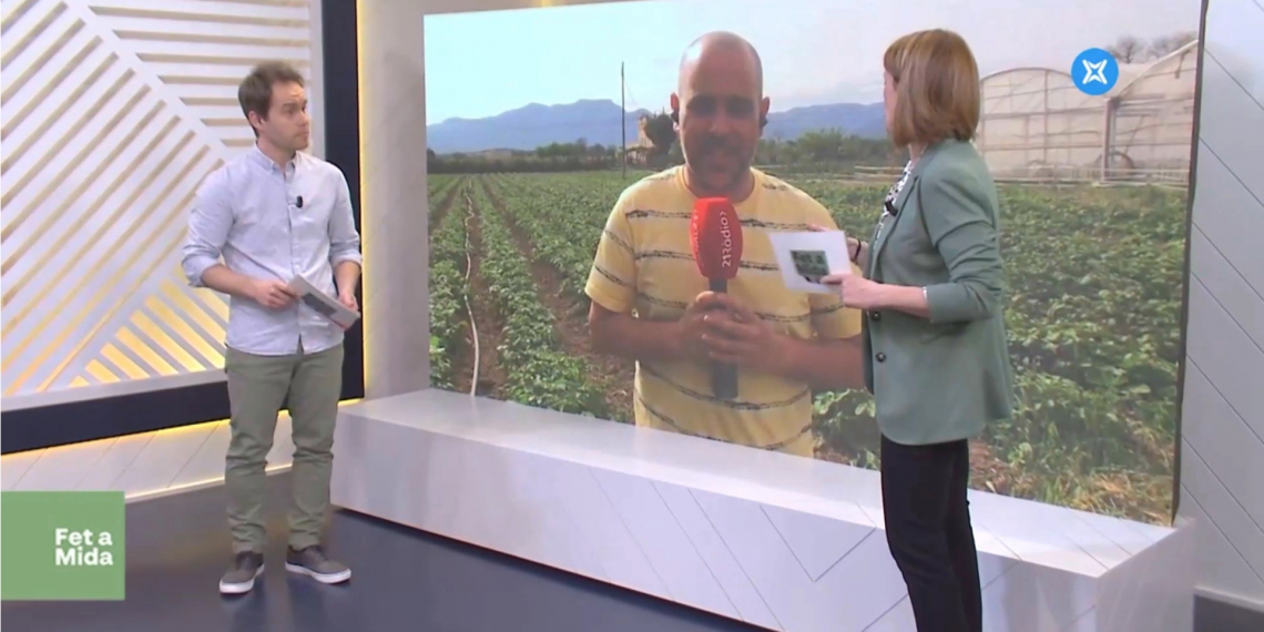 L’agricultura ecològica en constant creixement per l’alta demanda