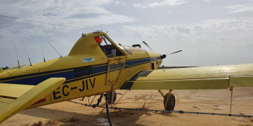 Comencen els tractaments contra el mosquit als arrossars del delta de l’Ebre