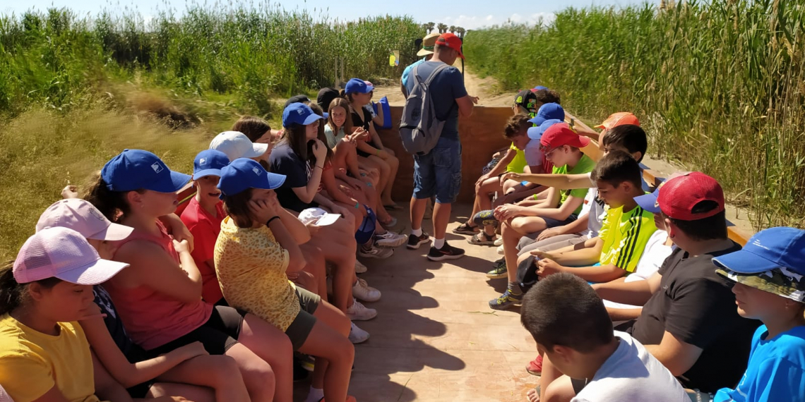 Alumnes de Deltebre aprenen a plantar arròs de manera tradicional