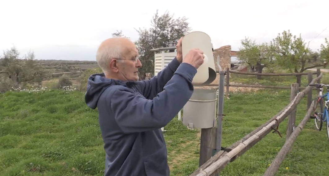 Josep Borrell, el pagès de la Serra d’Almos que compila dades fenològiques des de fa més de 50 anys