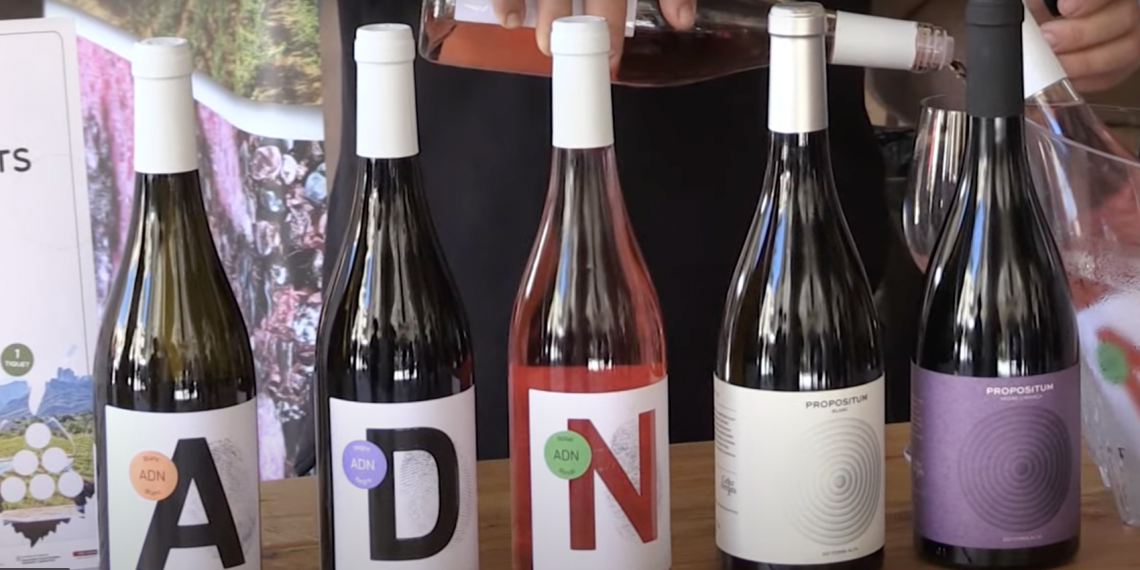 Festa de l’Eclipsi de la DO Terra Alta