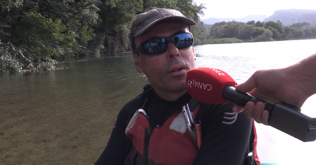 El cargol maçana, eradicat al tram fluvial de Miravet