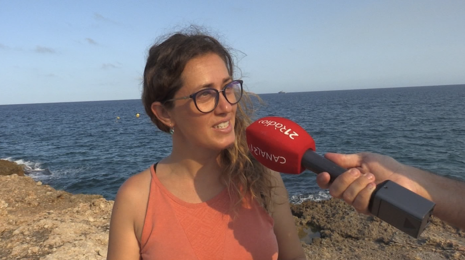 Apareixen les primeres cries de sípies i calamars del projecte Calasèpia de l’Ametlla de Mar