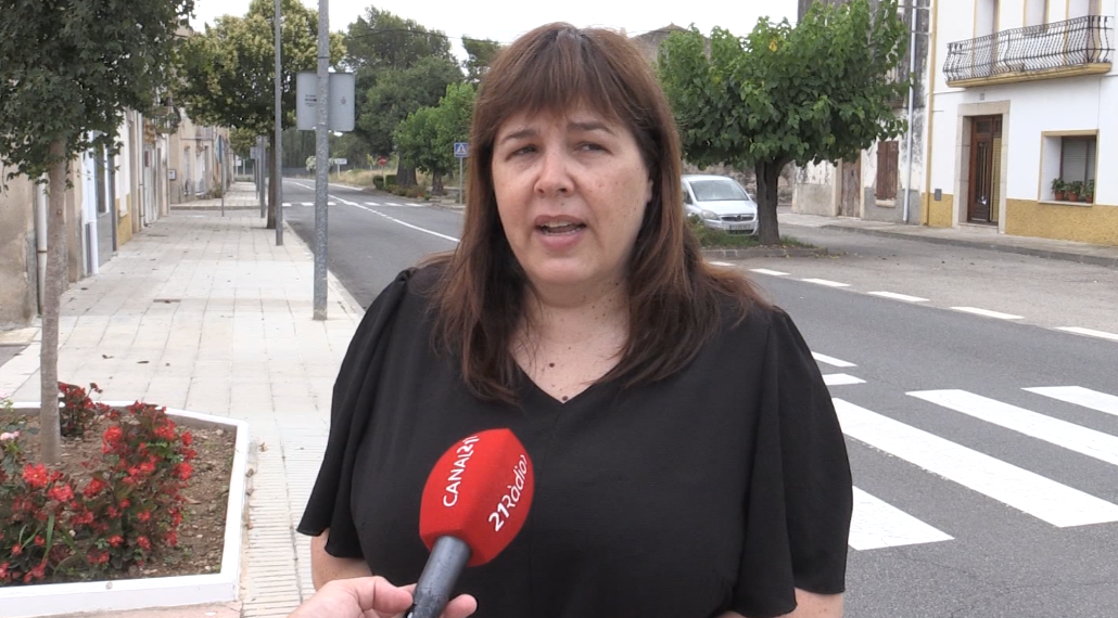 Ulldecona reclama la retirada dels canons anticalamarsa per les molèsties als veïns