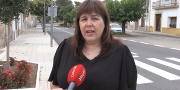 Ulldecona reclama la retirada dels canons anticalamarsa per les molèsties als veïns