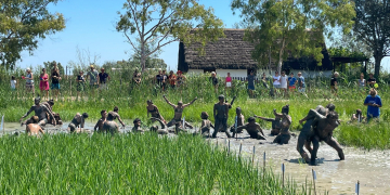 Deltebre Dansa recupera la improvisació als arrossars de la Barraca de Salvador