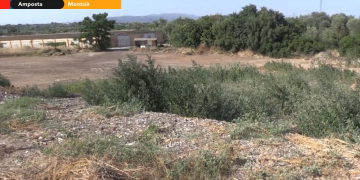 D’un antic abocador a reserva natural de microdiversitat i petits mamífers