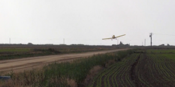 El COPATE farà el segon tractament contra els mosquits en arrossars la setmana vinent