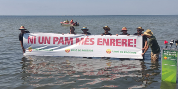 Unió de Pagesos alerta que la inacció al Delta posa en perill el conreu de l’arròs