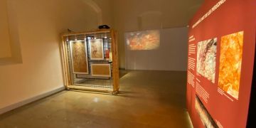 El Museu de les Terres de l’Ebre inaugura l’exposició ‘Art primer. Artistes de la prehistòria’