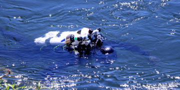 Localitzen el cos sense vida d’un home a Miravet