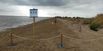 L’Ampolla habilita una zona per a gossos a la platja de l’Arenal