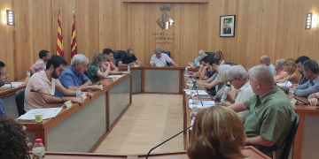 El Consell Comarcal del Baix Ebre dona suport al projecte de regadiu del canal Aldea-Camarles