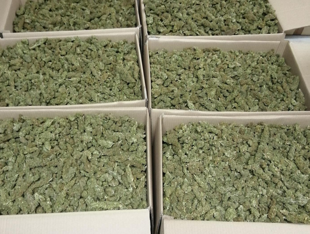 Dos homes, empresonats per tràfic de marihuana a Batea