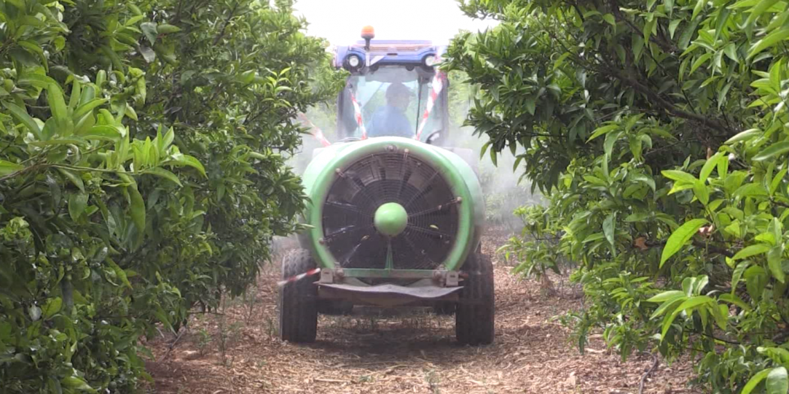 L’IRTA investiga l’aplicació de noves tècniques sobre l’ús de fitosanitaris en cítrics