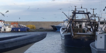 Pescadors de l’Ametlla de Mar es mostren en desacord amb la veda d’estiu del pop roquer