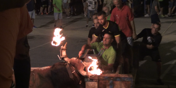 Els bous tornen a Amposta dos anys després