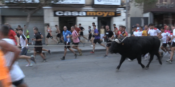 Festa del bou embolat i bou capllaçat a Amposta