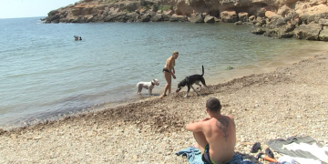 L’Ametlla de Mar habilita dues platges d’accés lliure per a gossos, la de Bon Caponet i la del Cementiri