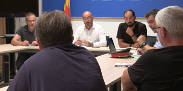 Controlaran la quantitat de garrofes venudes de cada finca per frenar els robatoris