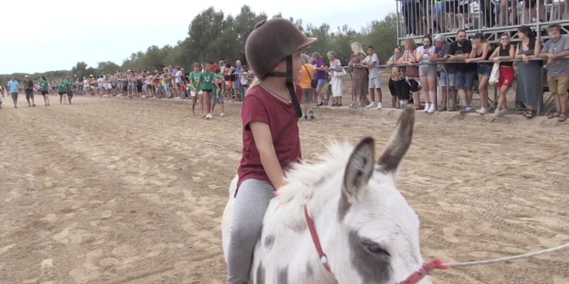 Curses de Cavalls i Burros a la Sénia 2022