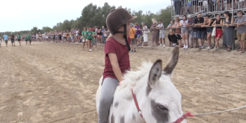 Curses de Cavalls i Burros a la Sénia 2022